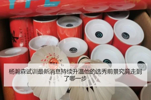 杨瀚森试训最新消息持续升温他的选秀前景究竟走到了哪一步